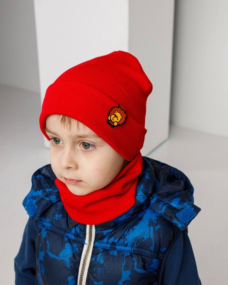 Комплект (шапка хомут) для хлопчика на весну-осінь оптом - Артикул 3040 3040 к-кт фото